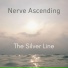 Nerve Ascending