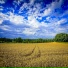 Константин Кириллов
