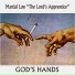 Martial Law The Lords Apprentice