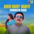 Sudheer Hussain Saqi