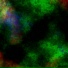 Eduardo Cardoso