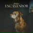Biblioteca de Música Para Mascotas