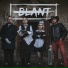 Blant