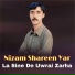 Nizam Shareen Yar