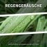 Regengeräusche HQ, Regengeräusche, Naturgeräusche