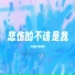 小梁的 梁思琪