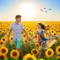 TOLY SUMMER