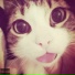qouloo
