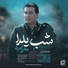 Mojtaba Kabiri