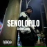Chippi Song, Narbs Project