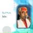 Baul Mintu