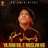 Dr. Amir Rizvi