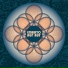 Embryo