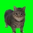 Alex Zond