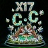 X17