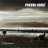 Proton Burst