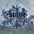 Sibir Hockey kids