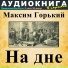 Аудиокнига в кармане, Максим Доронин