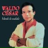 Waldo César