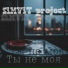 SiMViT Project