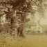 Vineleaf Drive