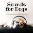 Music for Dogs Collective