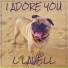 L Lavell