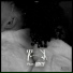 L'Amerigo feat. Boyzy