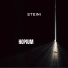Steini