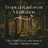 Rainforest Music Lullabies Ensemble