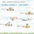 Carol Knauber Acoustic Project