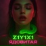 Z1Y1X1, DJ Bebra