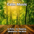 Sleep Music, Relaxing Music, Yoga