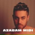 Ali Anzani