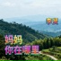 李贤