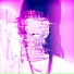 xmorphs