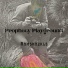 Prophecy Playground