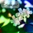 Refman ind