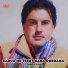 Fareed Zaib