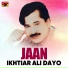 ikhtiar ali dayo