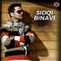 Sidqi Binavi