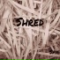 Spye