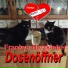 Frankys Herzkleber