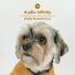 Audio Infinity