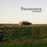 Oraclepulse