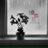 邓千荧 feat. TimC