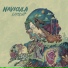 Navicula