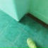 ФЛМ