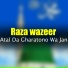 Raza wazeer
