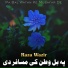 Raza Wazir